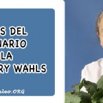 Notas del Webinario de la Dra. Terry Wahls