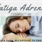 Fatiga Adrenal guia para recuperar tu energia
